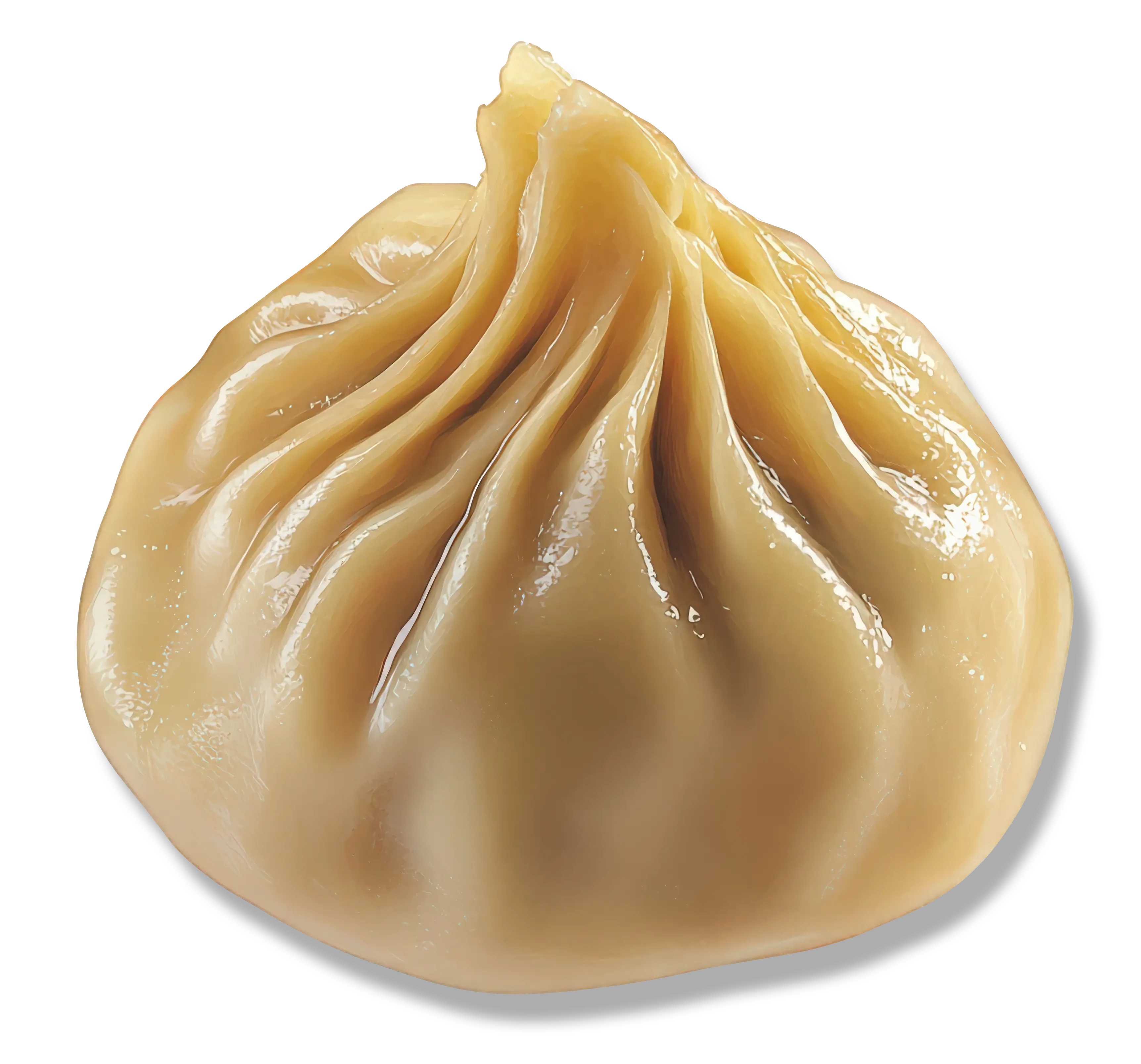 ページトップへ